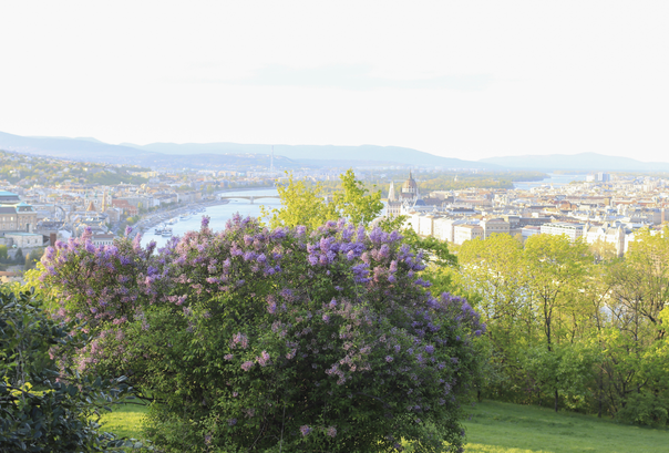 Mit csináljunk Budapesten? 